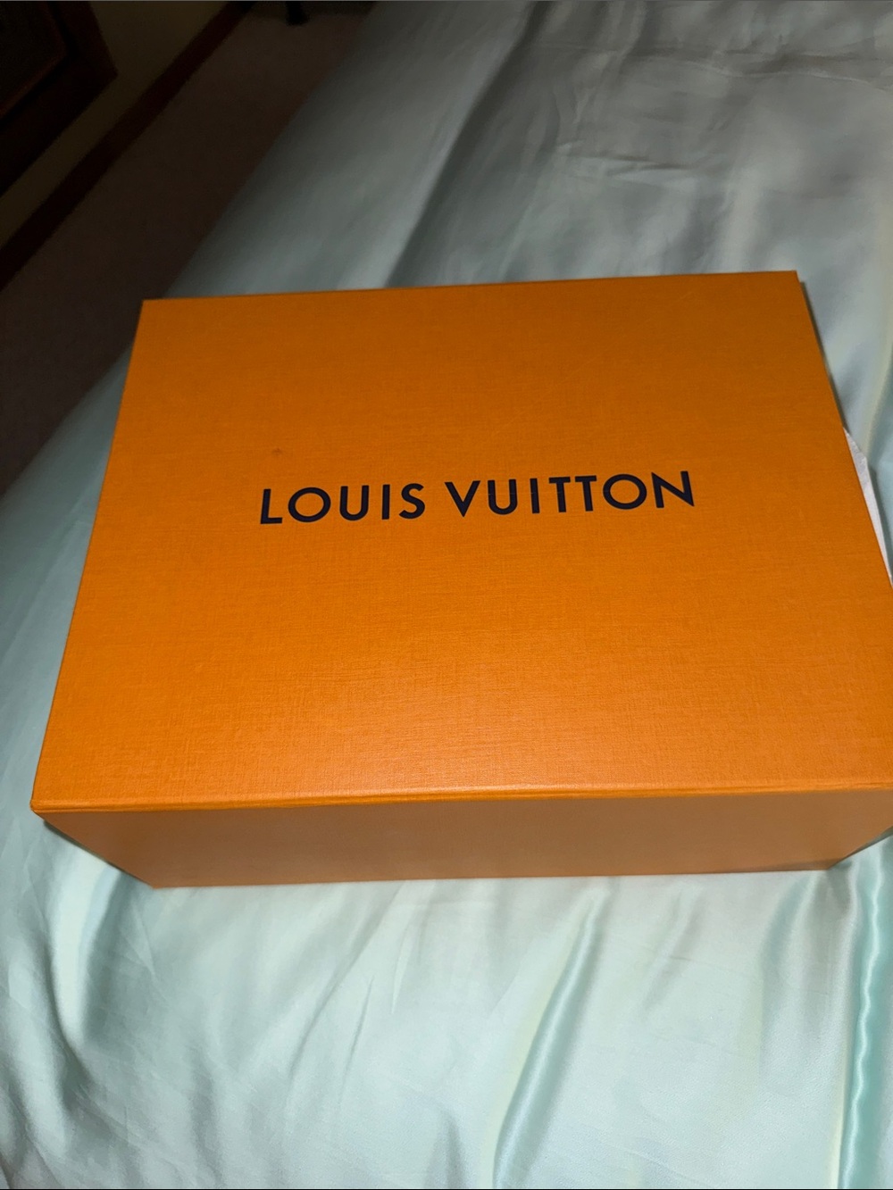 Louis Vuitton authentic silver slide mules sandals - Picture 2 of 15